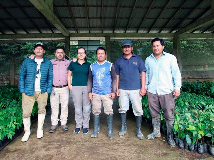 Reforestación en la reserva Buenaventura